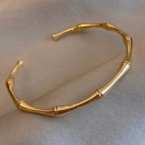 Fashion Solid Color Titanium Steel Plating Bangle - Picture 1 of 1